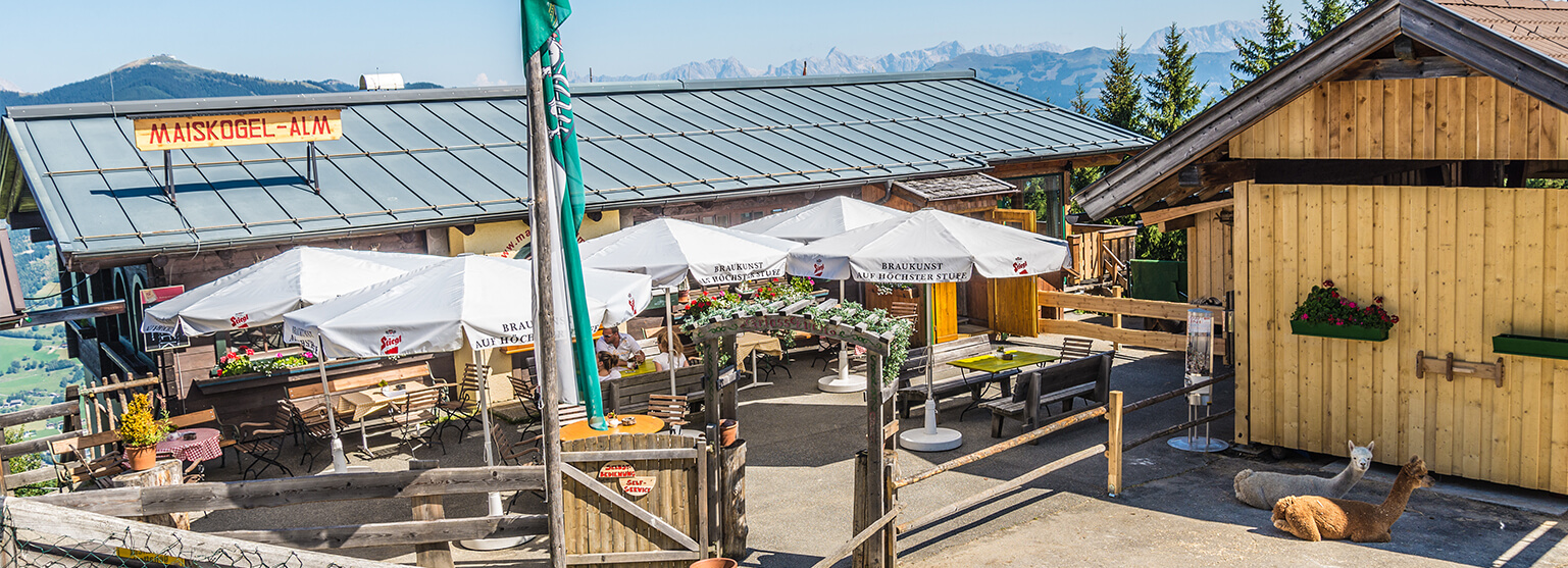 Maiskogel Alm / Ranch in Kaprun